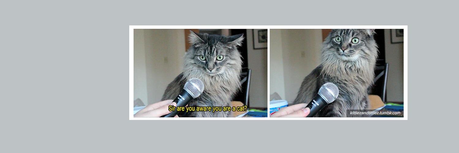 Kristi Colleen banner