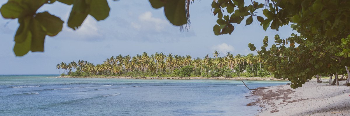 marioptasik's profile banner image
