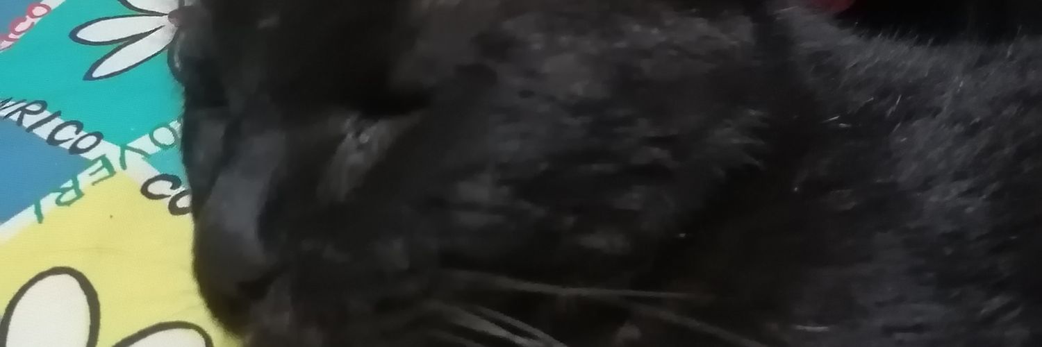nadexia's profile banner image
