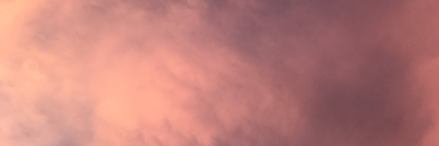 eremerdogan's profile banner image