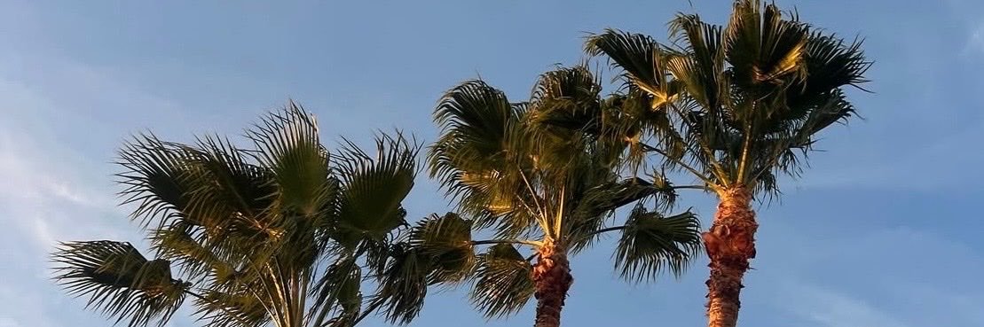 CamilleWal8x's profile banner image