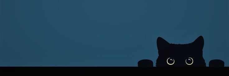 waldauseyes's profile banner image