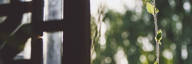danielgree6xg's profile banner image