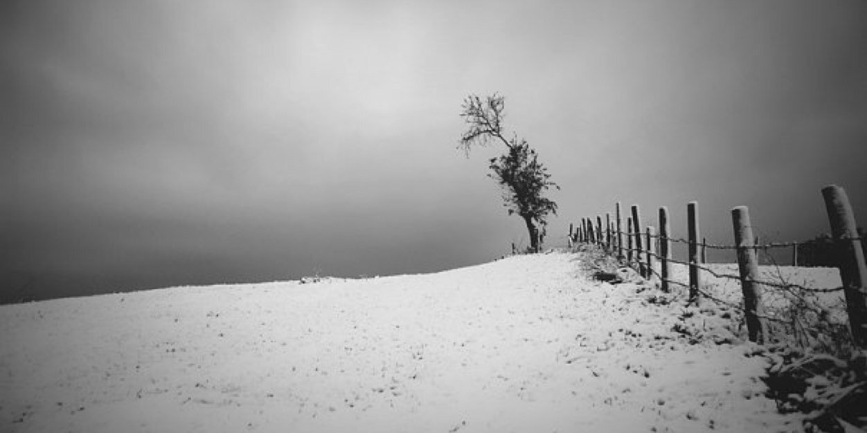 dervisbey58's profile banner image
