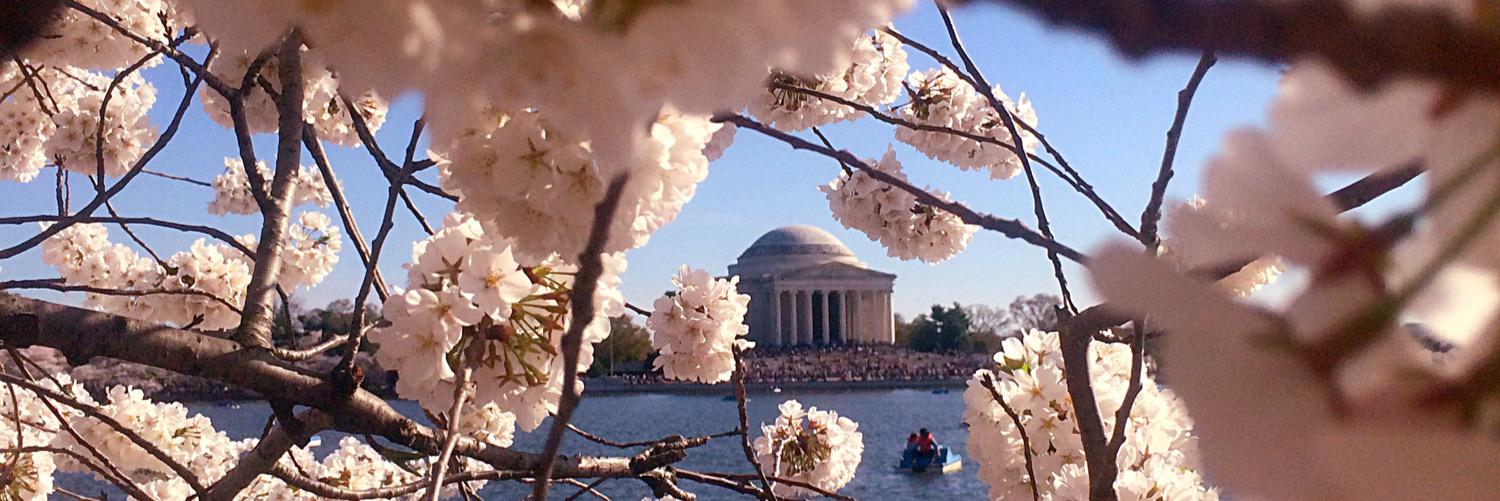 cuademocrats's profile banner image
