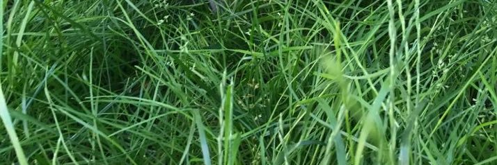 firattuncer's profile banner image