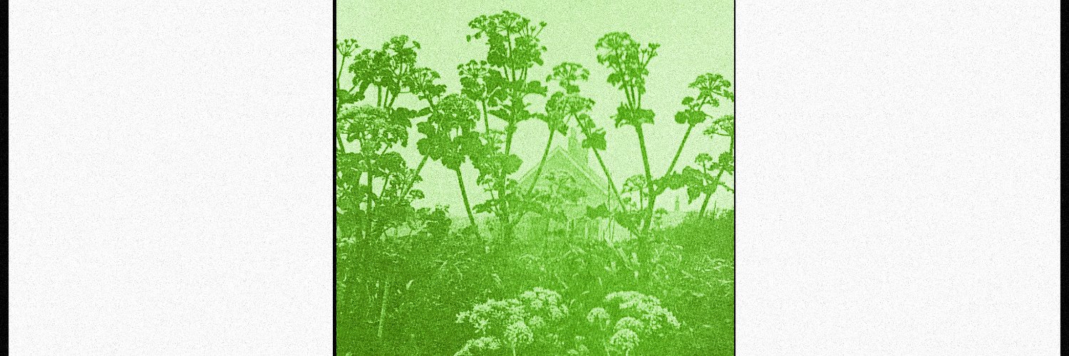 MajdeckiJanicki's profile banner image