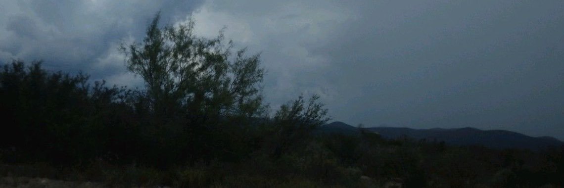 batvessel's profile banner image