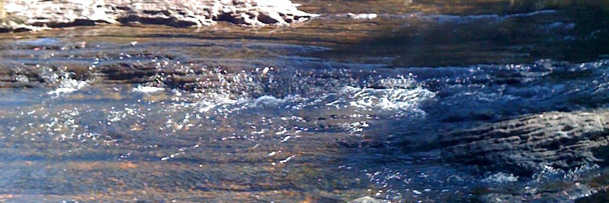 cathypburke's profile banner image