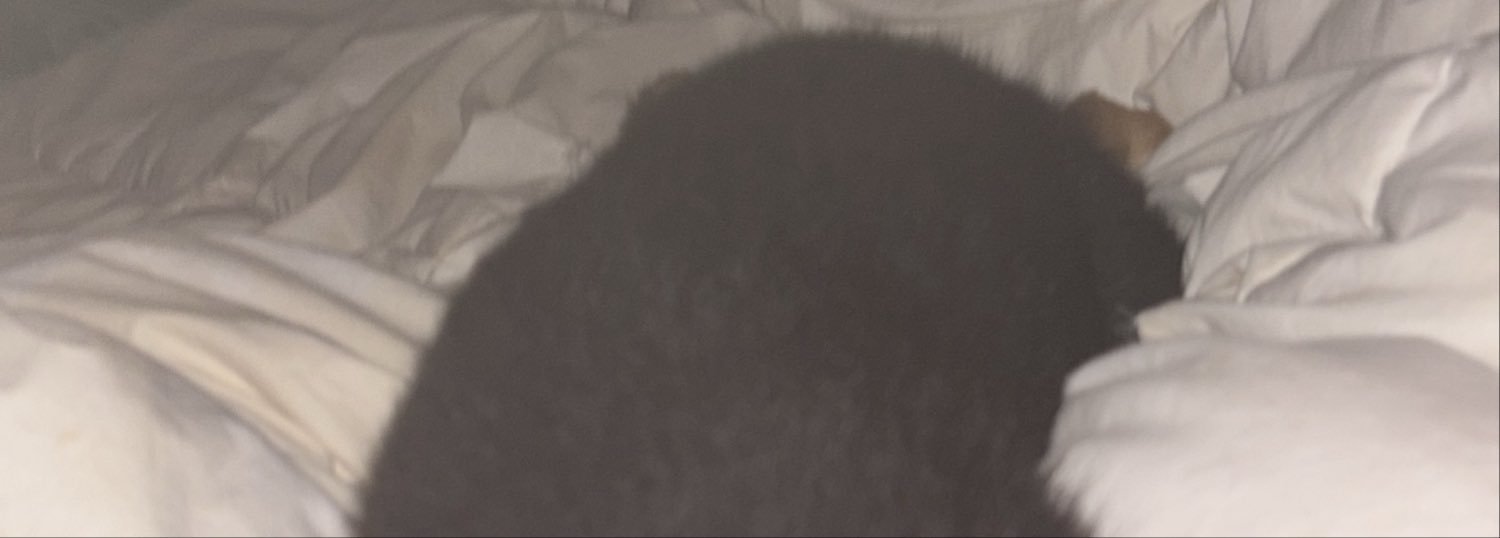 JulieAnneGw7's profile banner image