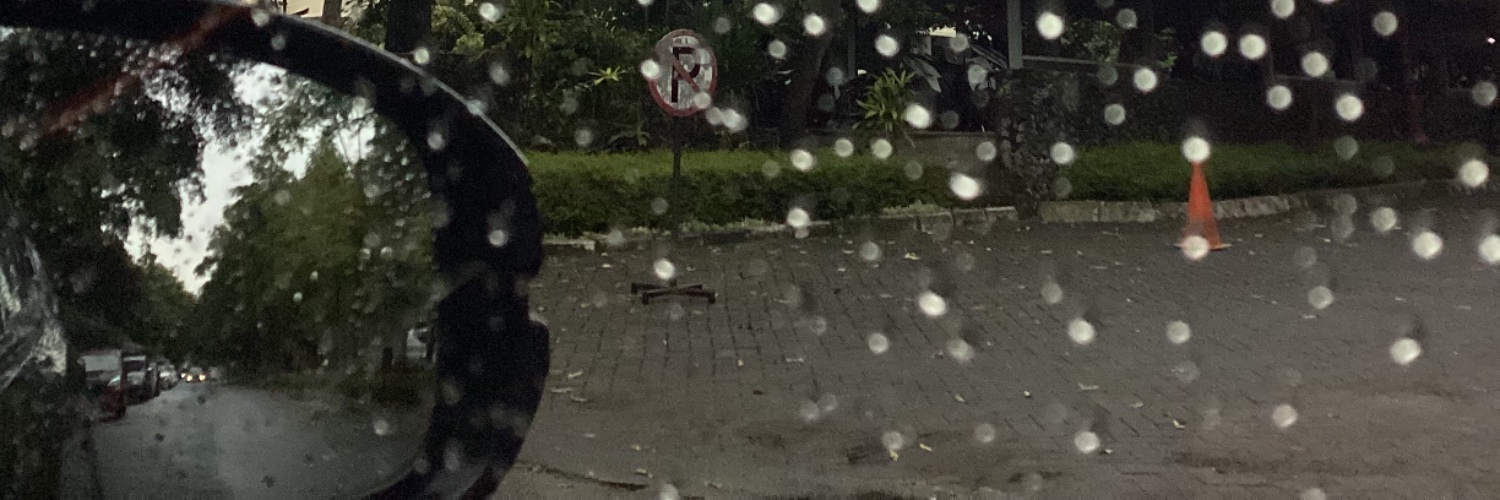 real_slwn's profile banner image
