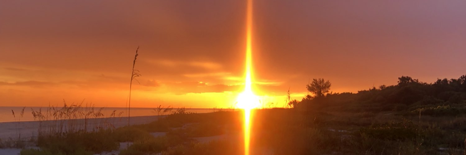 mosaicprincess's profile banner image