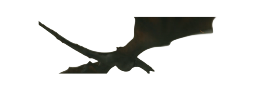 VERMAXRDR's profile banner image
