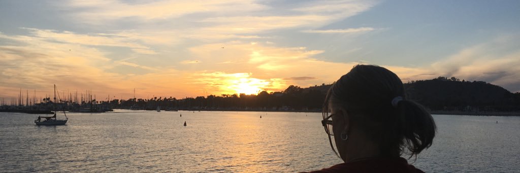 lrayholly's profile banner image