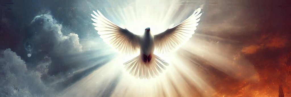 Timothy Norwood banner