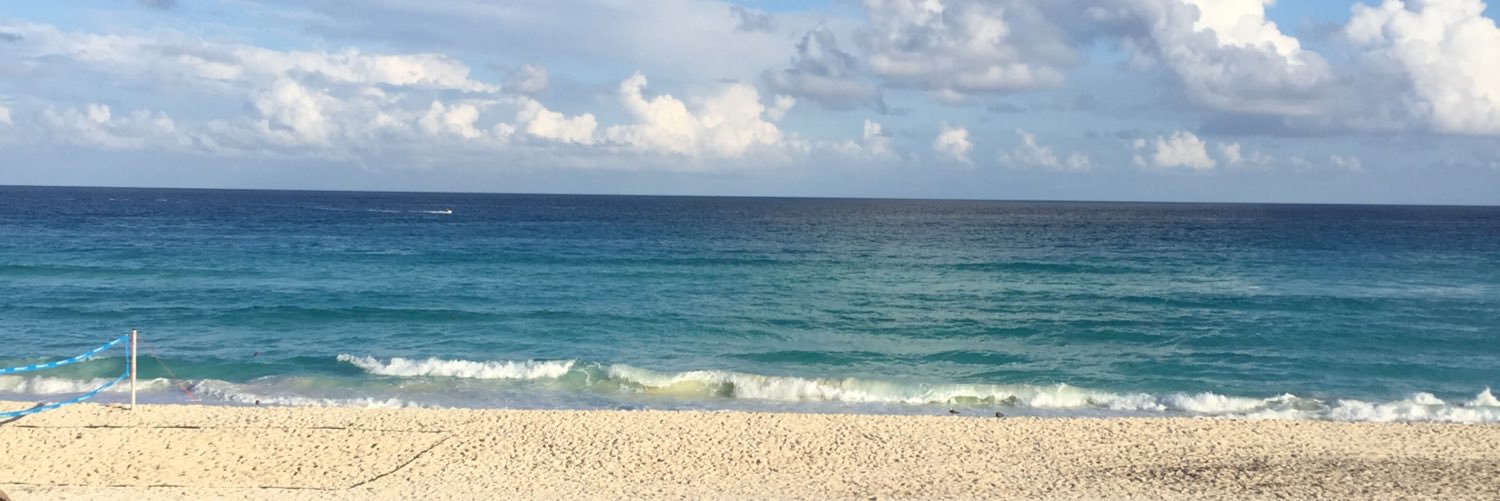 LisaASnow's profile banner image