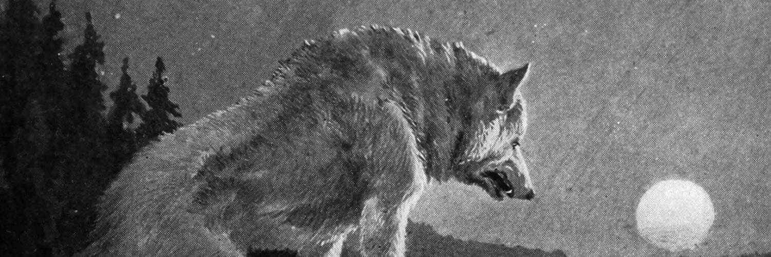 404_NotFound_'s profile banner image