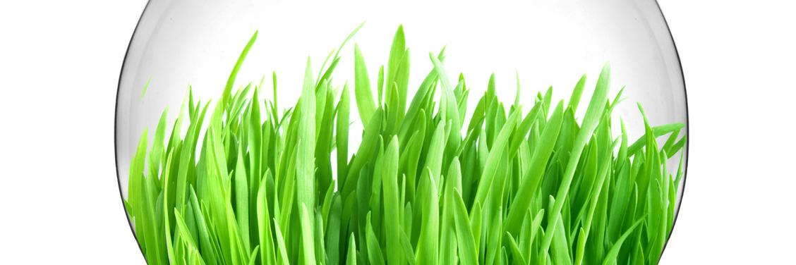 Biotechnics's profile banner image