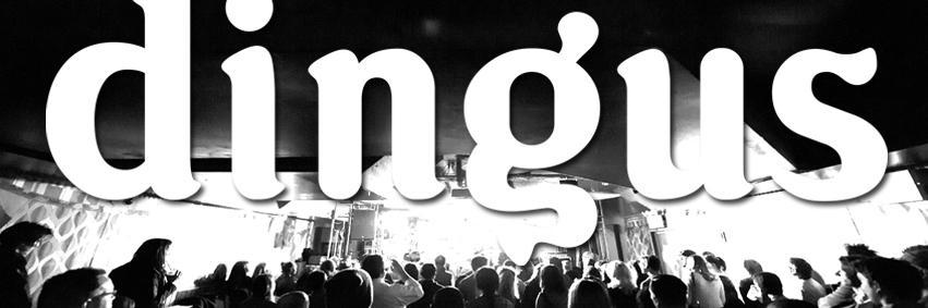 DINGUS banner
