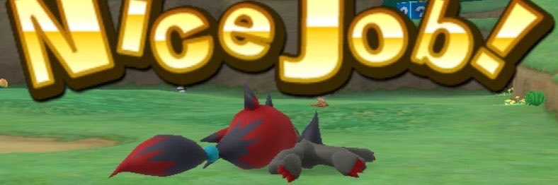 AcervoZoroark's profile banner image