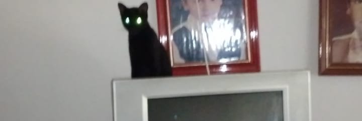 MATHEWSAMARAL13's profile banner image