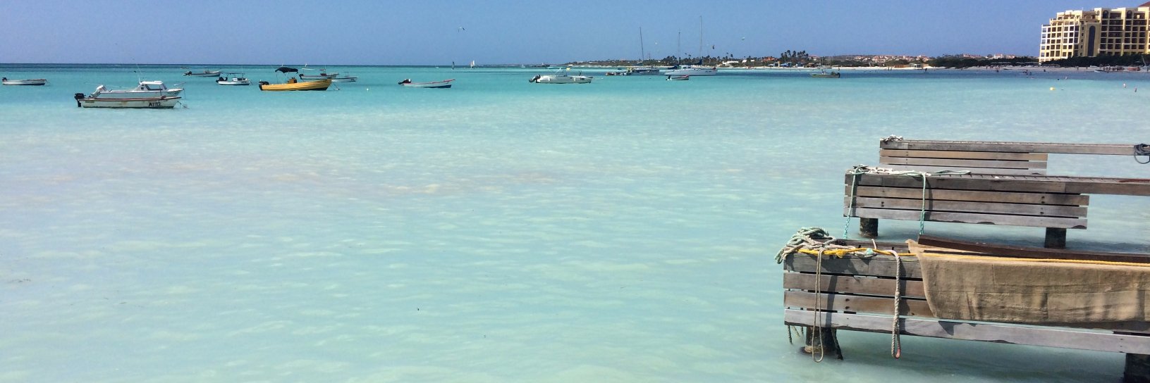 Diego Cervieri banner