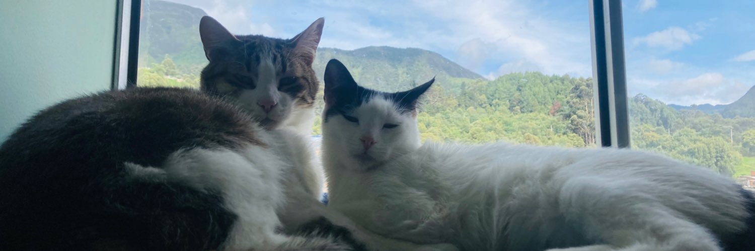 Mario Velasquez Torres banner