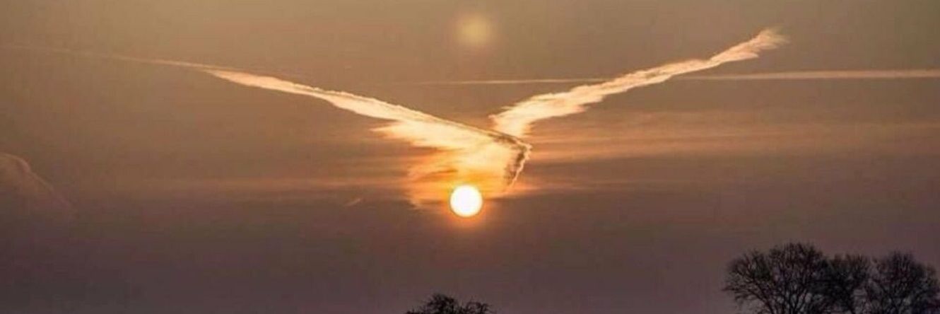 Antoon Castelein 🇳🇱 banner