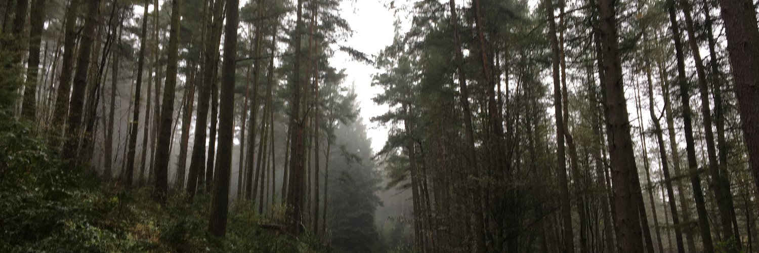 TeresaStenson's profile banner image