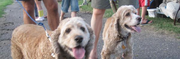 SWMplsPatch Profile Banner