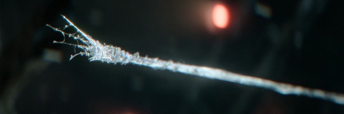 spidepete's profile banner image