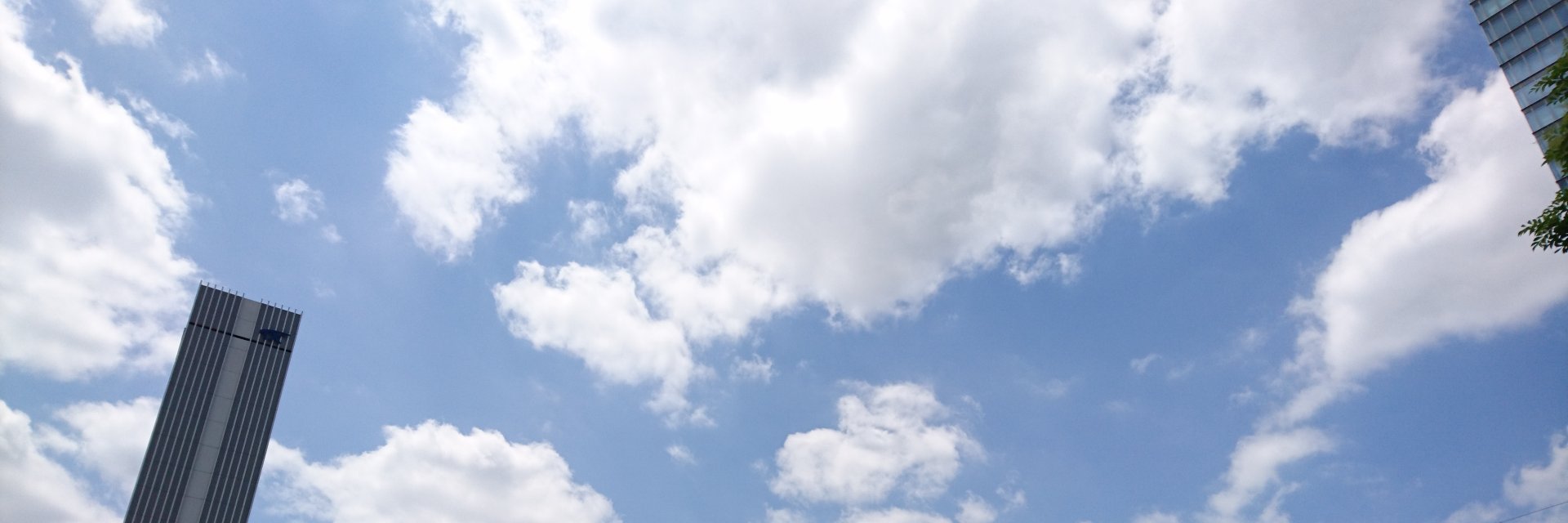 sofken2's profile banner image