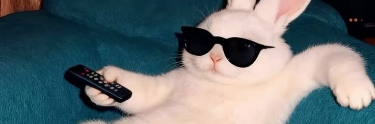 MariaLebedtl's profile banner image