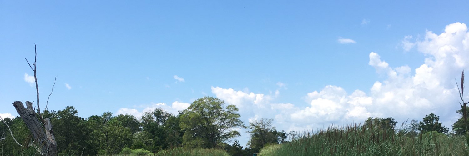 MariannSM's profile banner image