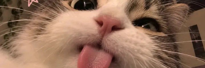 luaaaa233's profile banner image