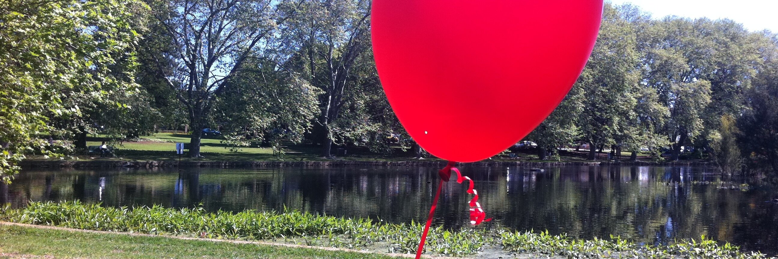 Jayde Harding banner