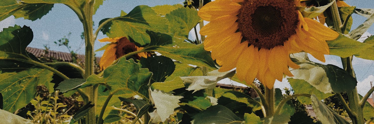 may_mercurio's profile banner image