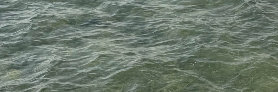 Mijy69's profile banner image