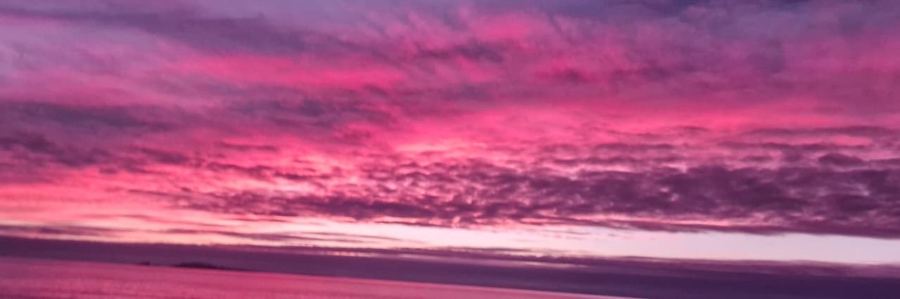 danicoletg's profile banner image