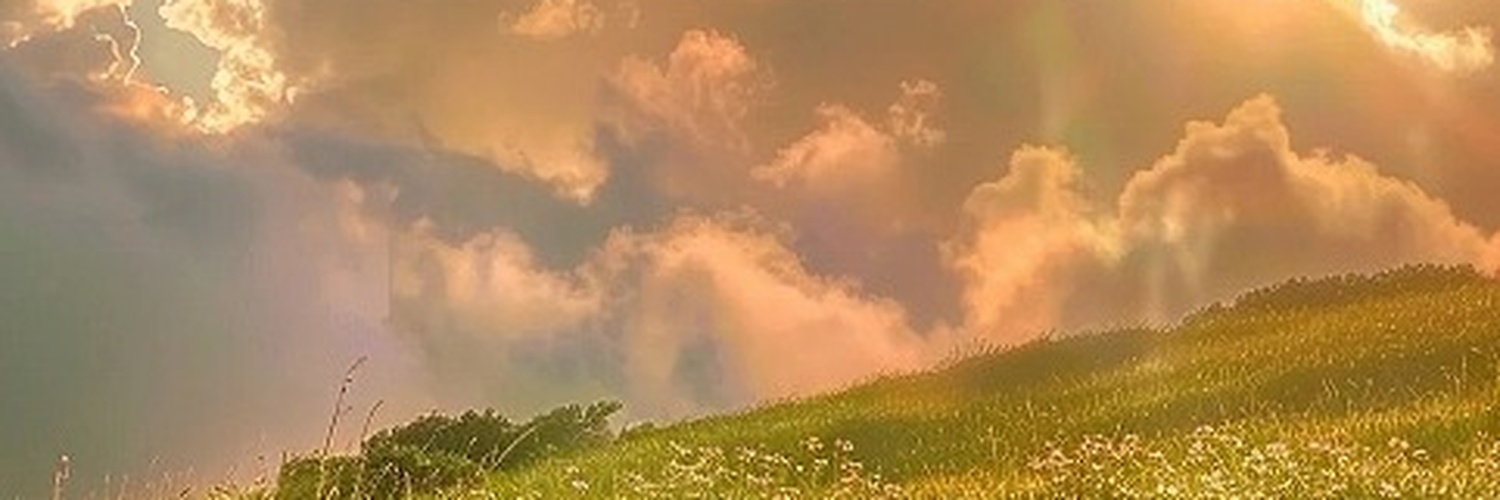 EmilyWindsmsc's profile banner image