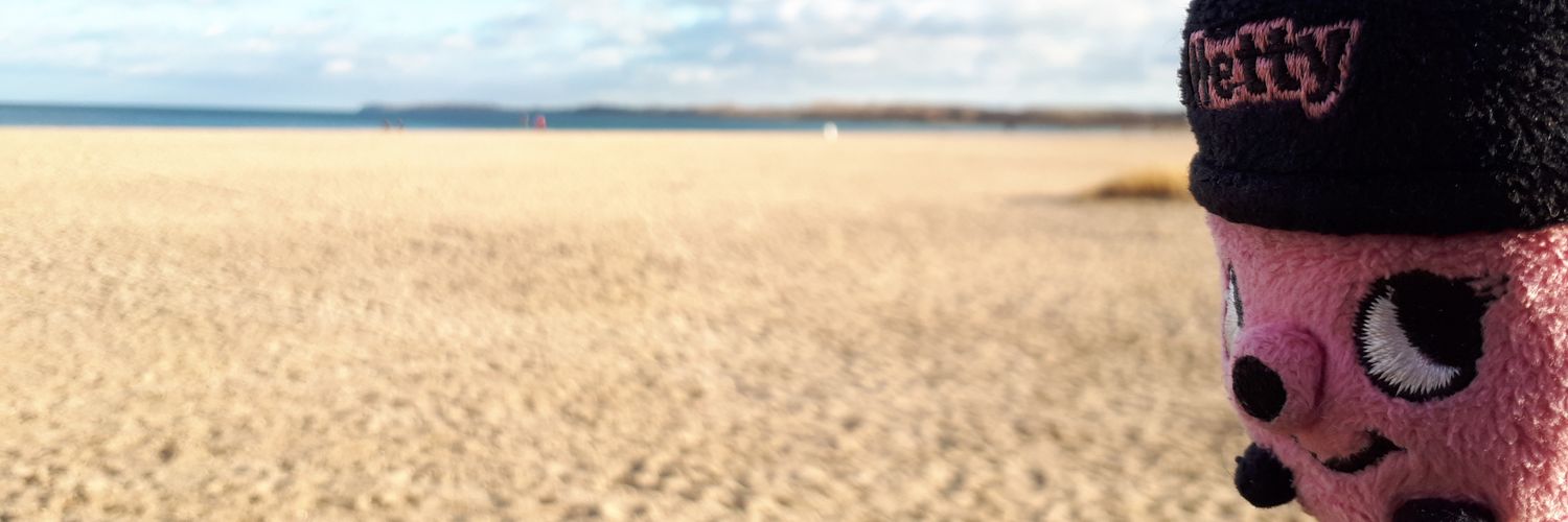 PinkHetty's profile banner image