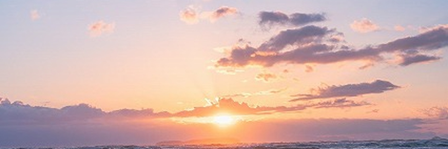 CamilaFenneo's profile banner image