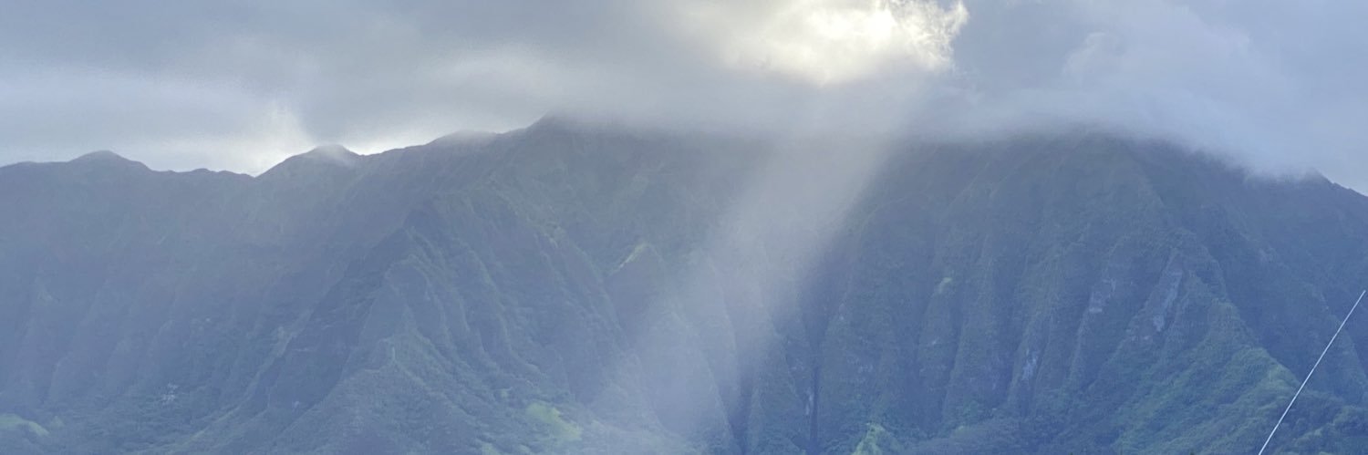 pleefs808's profile banner image