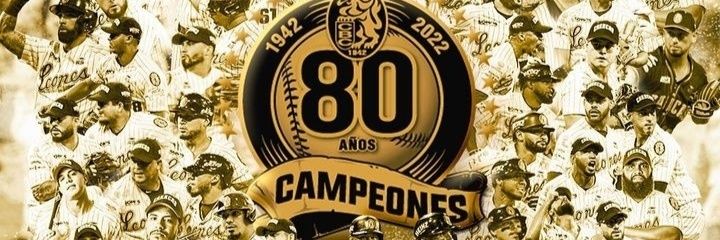 Sir Luis Enrique banner