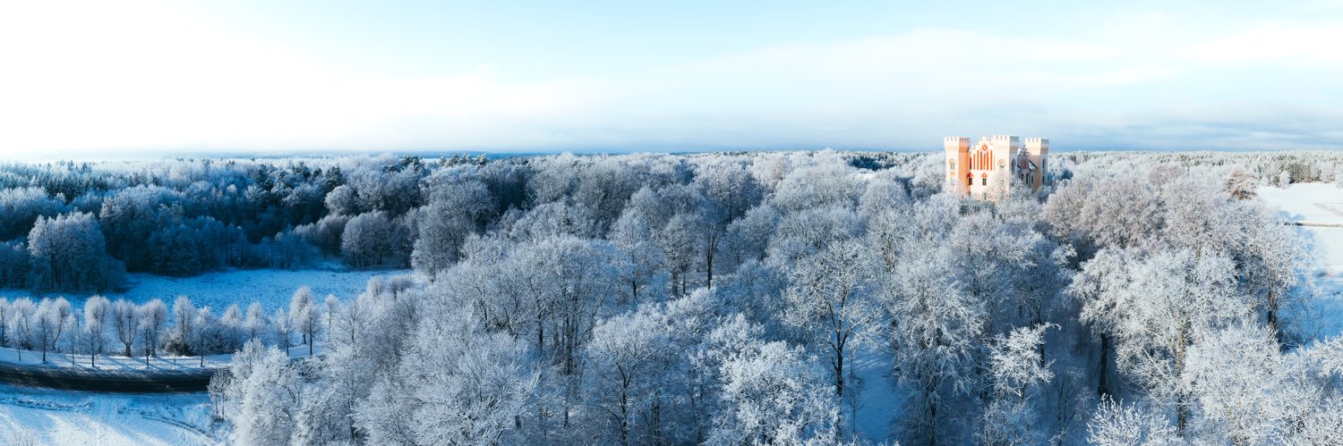 Boris Vanrillaer banner