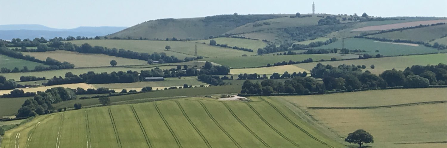 Robert Mocatta banner