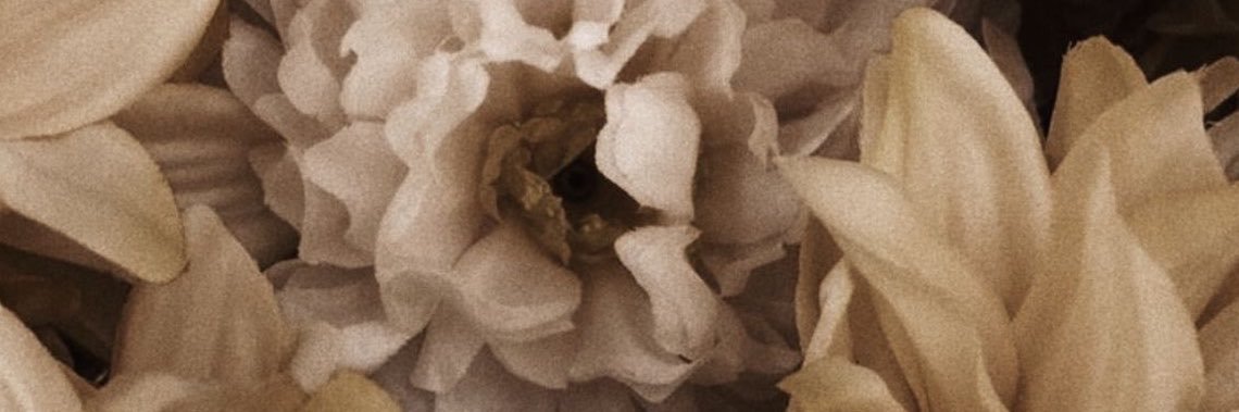 Sseductora_'s profile banner image