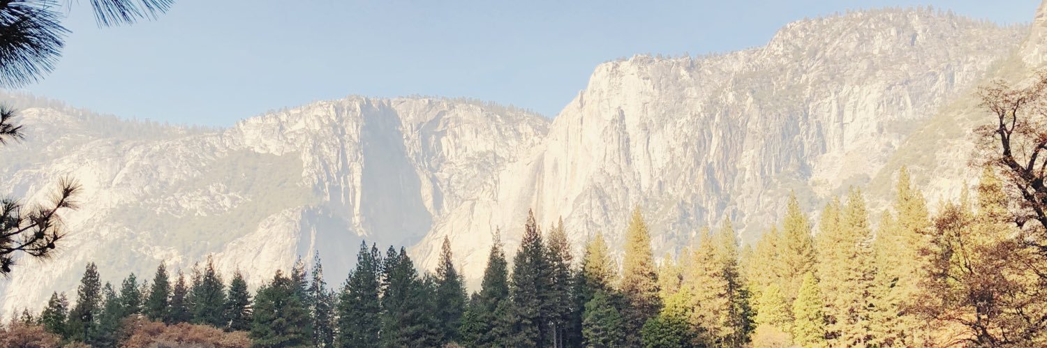 SurelyShawna's profile banner image