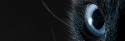Gus_DEV's profile banner image