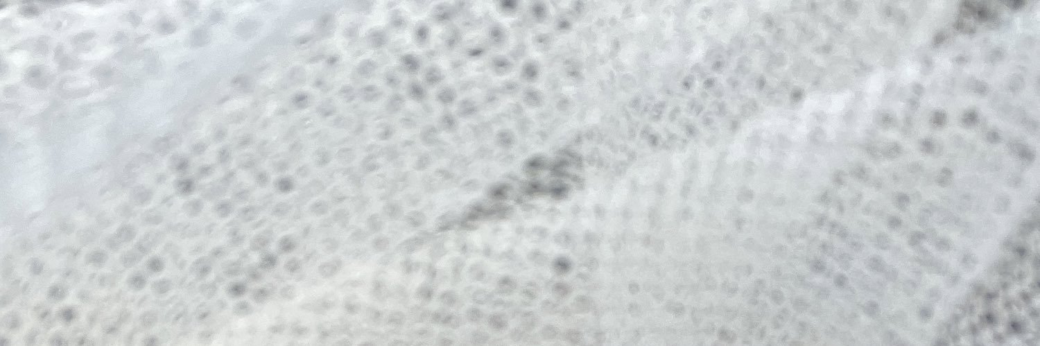 elifhanfendiler's profile banner image